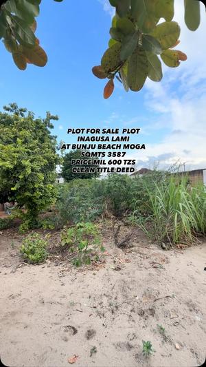 Plot for sale in Bunju Beach Moga, Dar Es Salaam sqm 3587 Plot for sale in Bunju Beach Moga, Dar Es Salaam sqm 3587