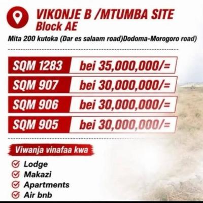 Kiwanja kinauzwa Vikonje B / Mtumba Site, Dodoma (1283 sqm)