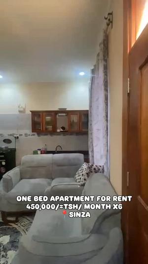 Apartment ya chumba kimoja inapangishwa Sinza, Dar Es Salaam