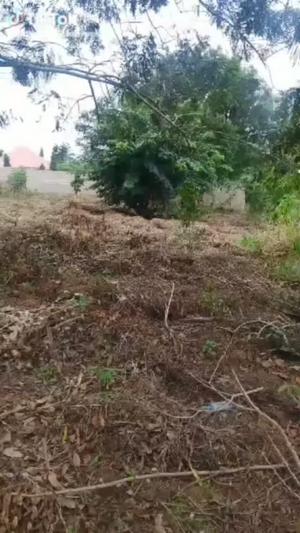 Kiwanja kinauzwa Kibaha Kwa Mfipa, Pwani (800 sqm) Kiwanja kinauzwa Kibaha Kwa Mfipa, Pwani (800 sqm)
