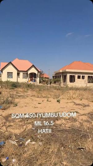 Residential Plot for Sale in Iyumbu UDOM, Dodoma (450 sqm) Residential Plot for Sale in Iyumbu UDOM, Dodoma (450 sqm)