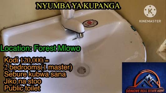 Nyumba ya vyumba viwili inapangishwa Forest Mlowo, Songwe Nyumba ya vyumba viwili inapangishwa Forest Mlowo, Songwe