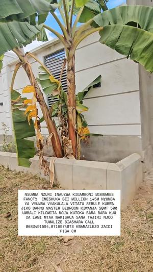 Nyumba ya vyumba vitatu inauzwa Kigamboni Mikwambe, Dar Es Salaam (500 sqm) Nyumba ya vyumba vitatu inauzwa Kigamboni Mikwambe, Dar Es Salaam (500 sqm)
