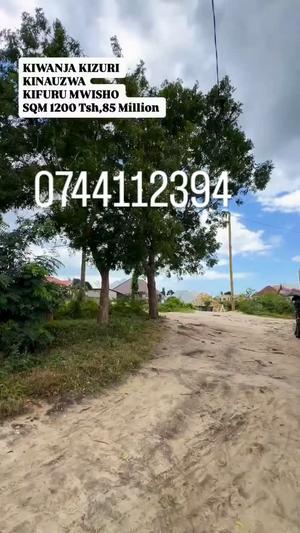 Kiwanja kinauzwa Kifuru Mwisho, Dar Es Salaam sqm 1200 Kiwanja kinauzwa Kifuru Mwisho, Dar Es Salaam sqm 1200