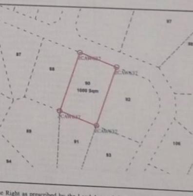Plot for sale in Nala Chihoni, Dodoma sqm 1000 Plot for sale in Nala Chihoni, Dodoma sqm 1000