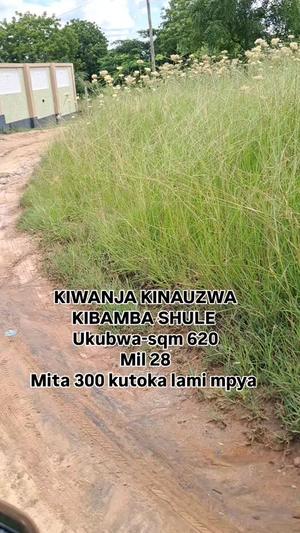 Kiwanja kinauzwa Kibamba Shule, Dar Es Salaam (620 sqm)