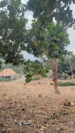 Residential Plots for Sale in Pugu Kimani, Dar Es Salaam (1800 sqm)