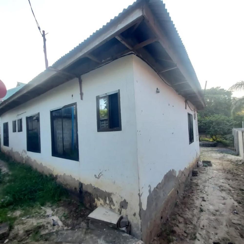 media -1 media -1