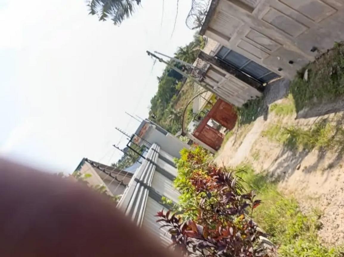 media -5 media -5
