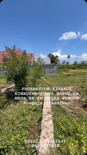 Kiwanja kinauzwa Mwera, Tanga (594 sqm) Kiwanja kinauzwa Mwera, Tanga (594 sqm)