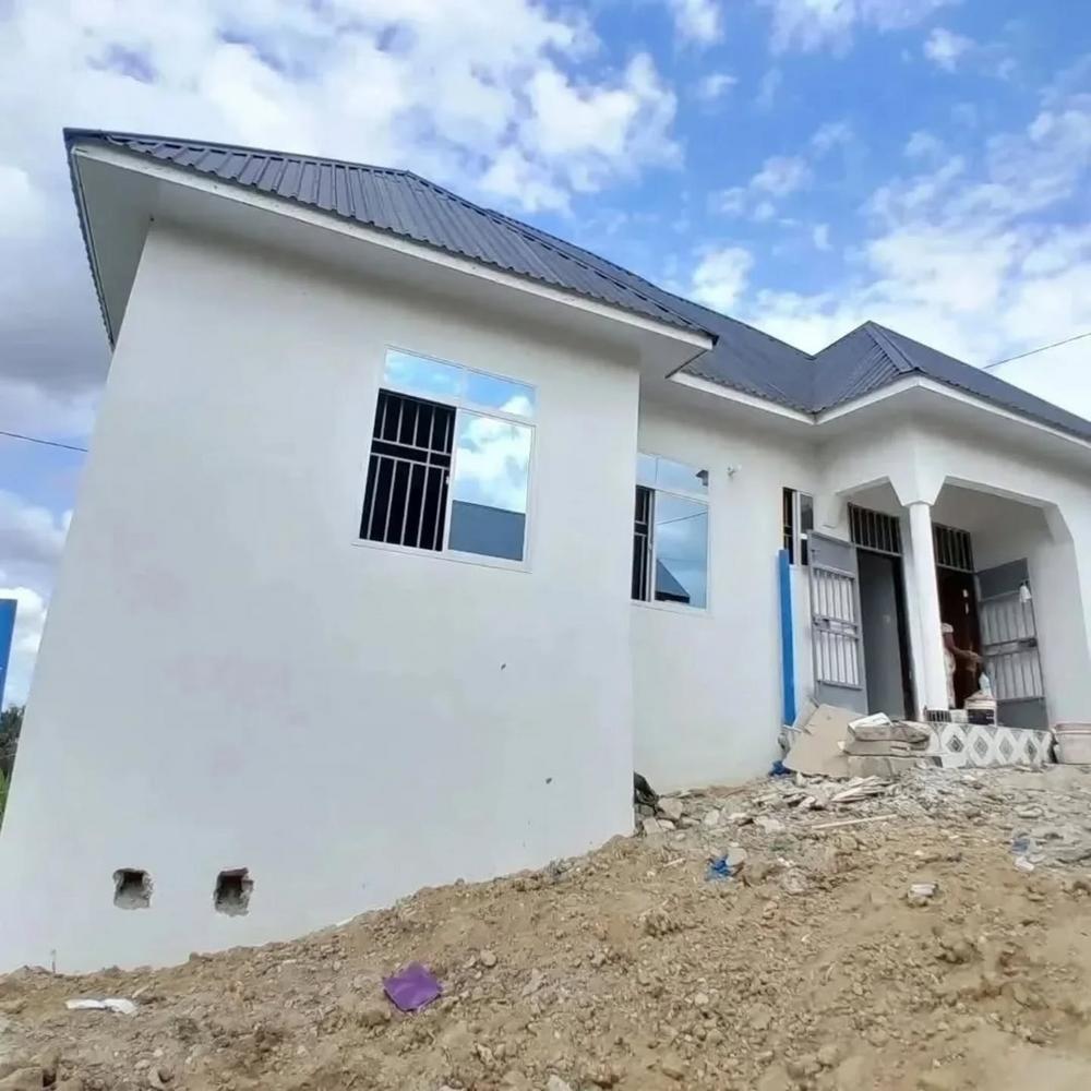 media -4