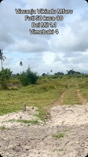 Viwanja vinauzwa Vikindu Vianzi Mfurumwambao, Pwani sqm 2000
