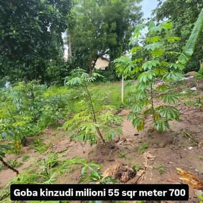 Plot for sale in Goba Kinzudi, Dar Es Salaam sqm 700