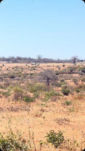 Viwanja vinauzwa Nala, Dodoma sqm 776