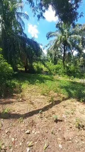 Nyumba inauzwa Goba Kwa Robati, Dar Es Salaam