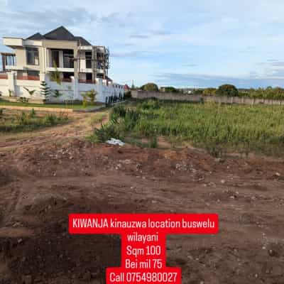Kiwanja kinauzwa Buswelu, Mwanza (1000 sqm)