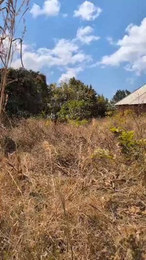 Kiwanja kinauzwa Mshengano, Ruvuma (0.5 acre) Kiwanja kinauzwa Mshengano, Ruvuma (0.5 acre)