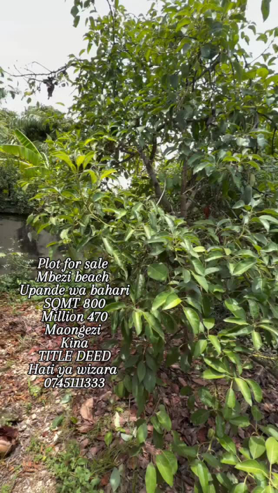 Plot for sale in Mbezi, Dar Es Salaam Plot for sale in Mbezi, Dar Es Salaam