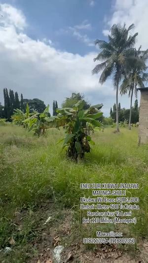 Kiwanja kinauzwa Mapinga Shule, Pwani sqm 3800 Kiwanja kinauzwa Mapinga Shule, Pwani sqm 3800