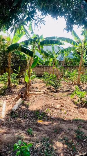 Kiwanja kinauzwa Baoba Mapinga, Pwani (1750 sqm) Kiwanja kinauzwa Baoba Mapinga, Pwani (1750 sqm)
