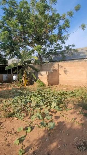 Nyumba ya vyumba vinne inauzwa Buhare, Mara (3000 sqm) Nyumba ya vyumba vinne inauzwa Buhare, Mara (3000 sqm)