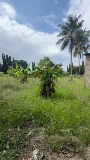 Residential Plot for Sale in Mapinga Shule, Pwani (3800 sqm) Residential Plot for Sale in Mapinga Shule, Pwani (3800 sqm)
