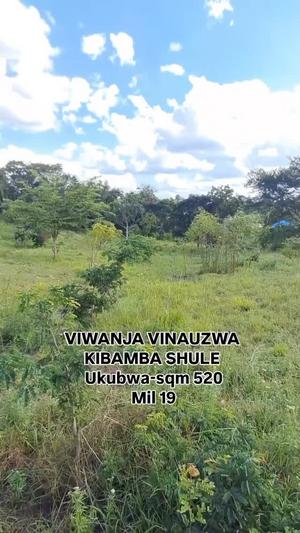 Kiwanja kinauzwa Kibamba Shule Hondogo, Dar Es Salaam sqm 520
