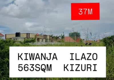 Kiwanja kinauzwa Ilazo, Dodoma (560 sqm)