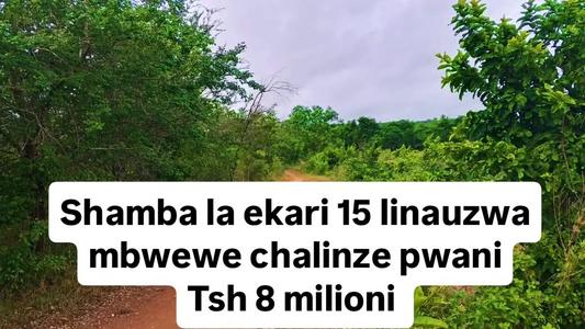 Shamba linauzwa Kwang'andu, Mbwewe, Chalinze, Pwani (15 acre) Shamba linauzwa Kwang'andu, Mbwewe, Chalinze, Pwani (15 acre)