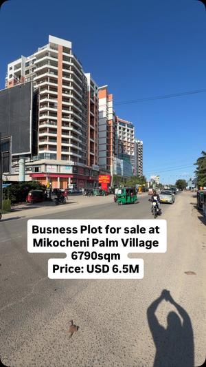 Kiwanja kinauzwa Mikocheni B, Palm Village, Dar Es Salaam (6700 sqm)