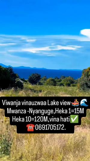 Plot for sale in Nyanguge, Mwanza acre 1 Plot for sale in Nyanguge, Mwanza acre 1