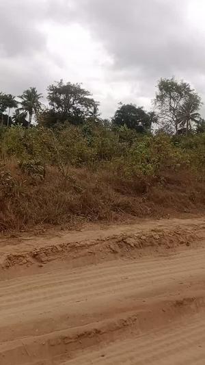 Farm for Sale in Homboza, Morogoro (1.25 acre) Farm for Sale in Homboza, Morogoro (1.25 acre)