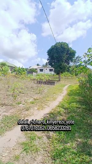 Plot for sale in Tabata Kinyerezi Mwisho, Dar Es Salaam sqm 500 Plot for sale in Tabata Kinyerezi Mwisho, Dar Es Salaam sqm 500