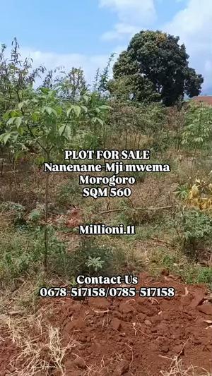 Kiwanja kinauzwa Nanenane, Mji Mwema, Mara (560 sqm)