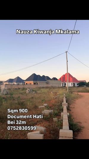 Kiwanja kinauzwa Makulu Mkalama, Dodoma sqm 900
