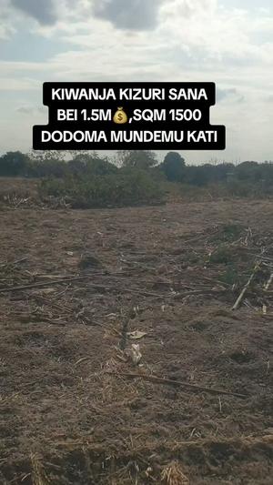 Kiwanja kinauzwa Mundemu Kati, Dodoma (1500 sqm) Kiwanja kinauzwa Mundemu Kati, Dodoma (1500 sqm)