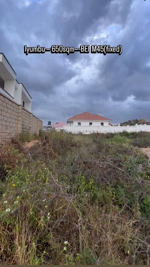 Kiwanja kinauzwa Iyumbu, Dodoma (650 sqm)