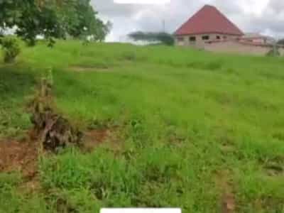 Viwanja vinauzwa Kibamba Shule, Dar Es Salaam (400 sqm) Viwanja vinauzwa Kibamba Shule, Dar Es Salaam (400 sqm)