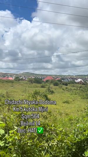 Kiwanja kinauzwa Chidachi Ntyuka, Dodoma sqm 564