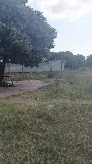 Residential Plot for Sale in Kigamboni Geza, Dar Es Salaam (700 sqm) Residential Plot for Sale in Kigamboni Geza, Dar Es Salaam (700 sqm)