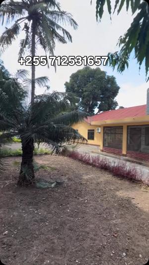Nyumba ya vyumba vinne inapangishwa Mikocheni, Dar Es Salaam Nyumba ya vyumba vinne inapangishwa Mikocheni, Dar Es Salaam