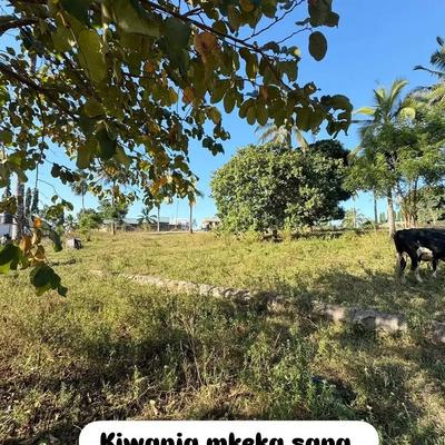 Plot for sale in Goba Mageti, Dar Es Salaam sqm 1000 Plot for sale in Goba Mageti, Dar Es Salaam sqm 1000