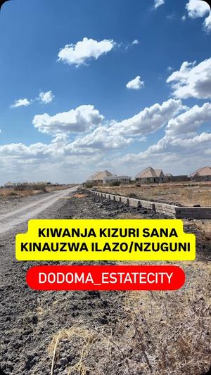 Residential Plot for Sale in Nzuguni, Dodoma (1000 sqm) Residential Plot for Sale in Nzuguni, Dodoma (1000 sqm)