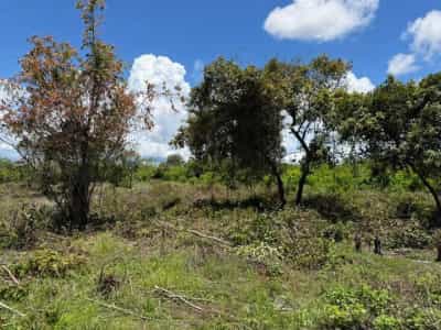 Kiwanja kinauzwa Pongwe Ya Uroa, Tanga (2500 sqm)