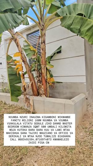 3 Bedrooms House for Sale in Kigamboni Mikwambe, Dar Es Salaam (500 sqm) 3 Bedrooms House for Sale in Kigamboni Mikwambe, Dar Es Salaam (500 sqm)