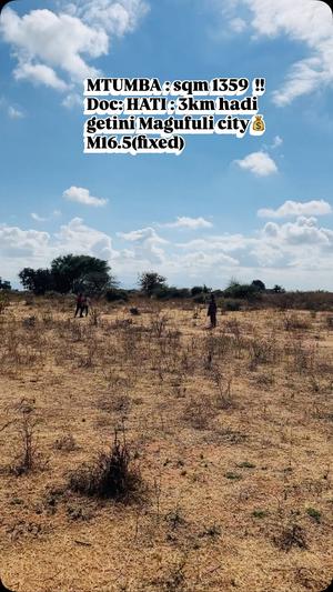 Plot for sale in Mtumba, Dodoma sqm 1359