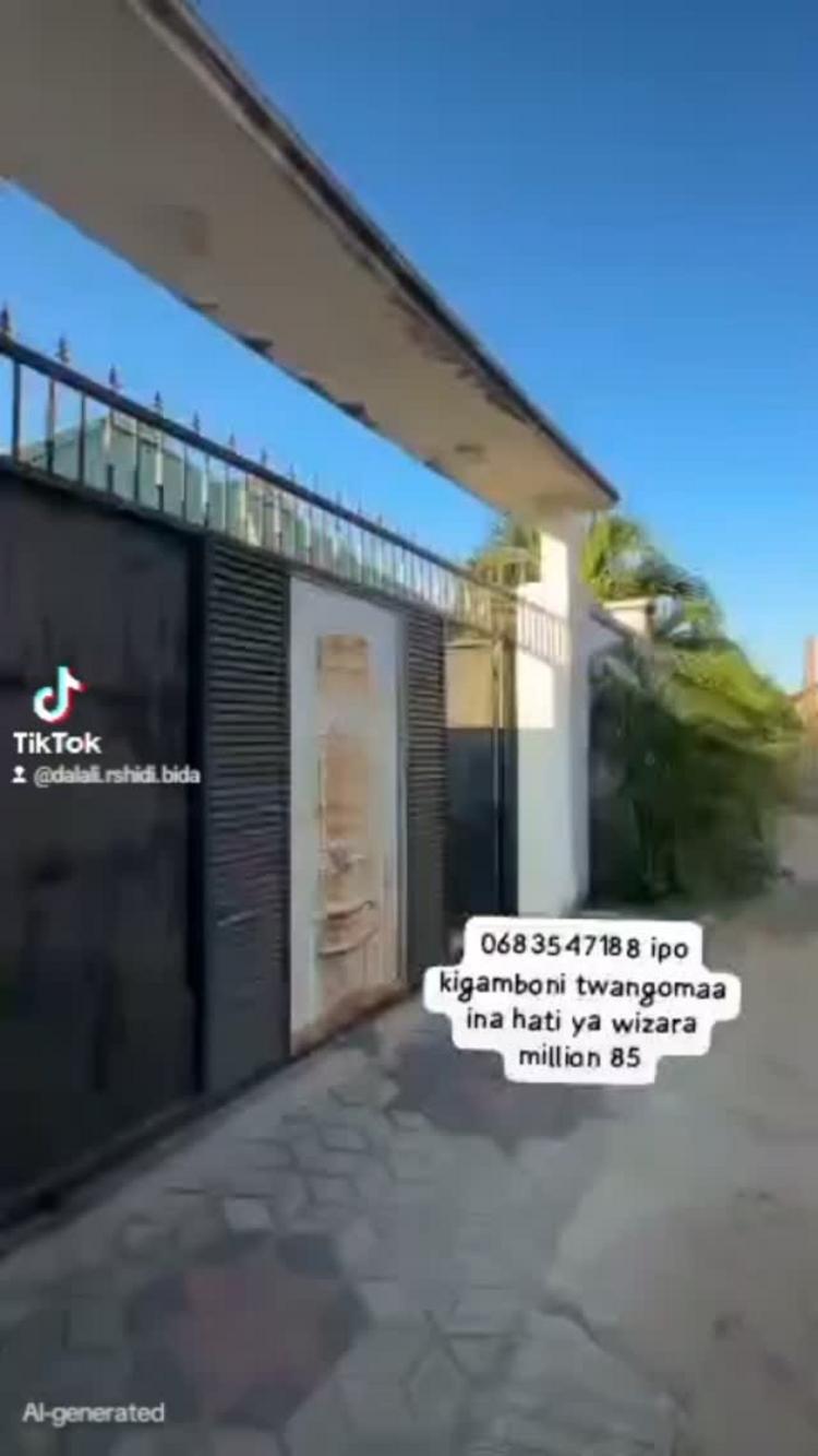  media -1