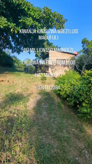 Plot for sale in Mbezi Luis Magufuli, Dar Es Salaam sqm 1600