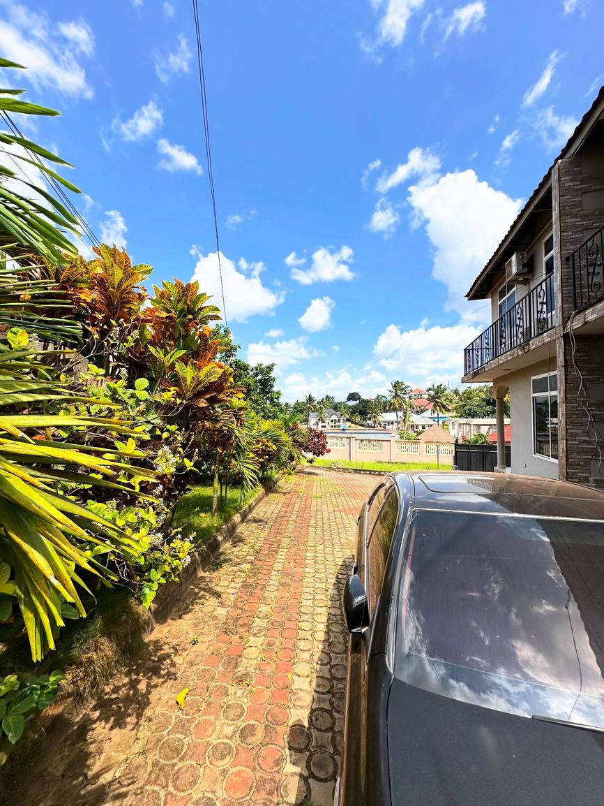 media -7