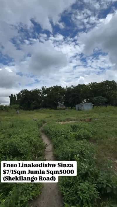 Kiwanja (Commercial Plot) kinapangishwa Sinza, Dar Es Salaam (5000 sqm)